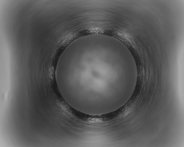 X0000087350649200704271420