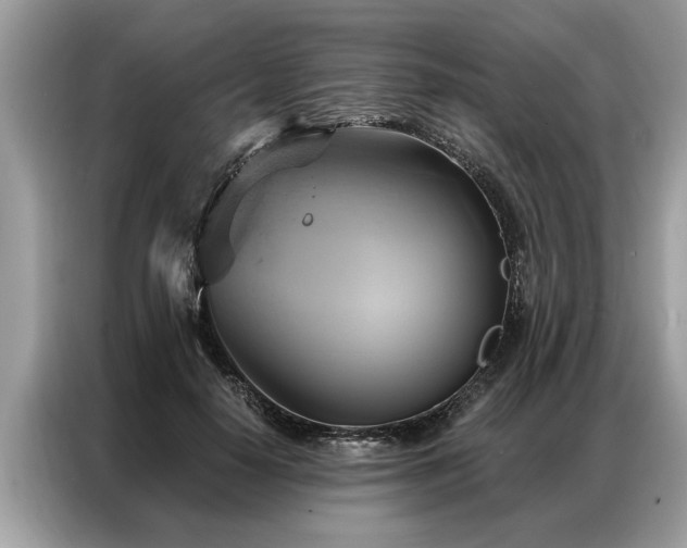 X0000087350650200704271420