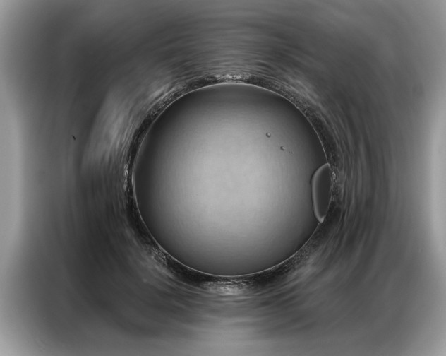 X0000087350652200704271420