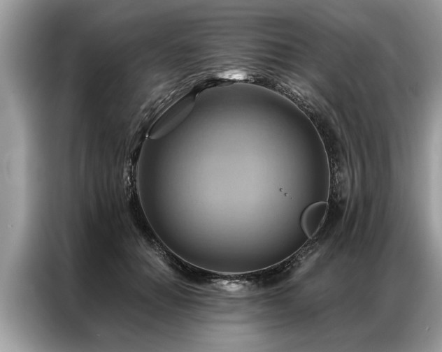 X0000087350654200704271420