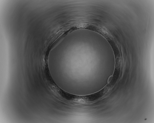 X0000087350655200704271420