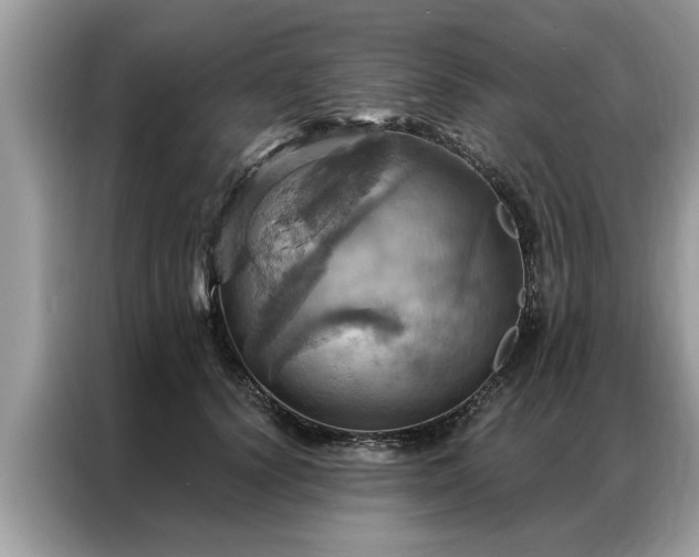 X0000087350656200704271420