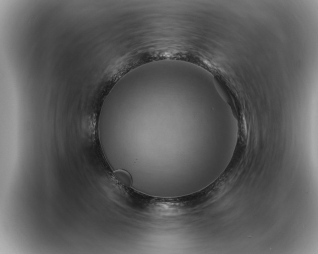 X0000087350657200704271420