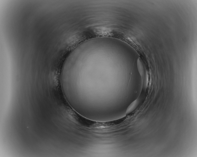 X0000087350658200704271420