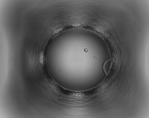 X0000087350659200704271420