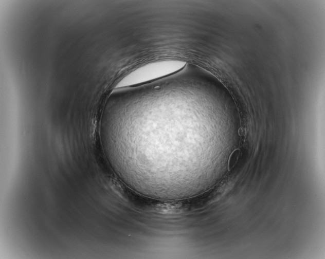 X0000087350660200704271420
