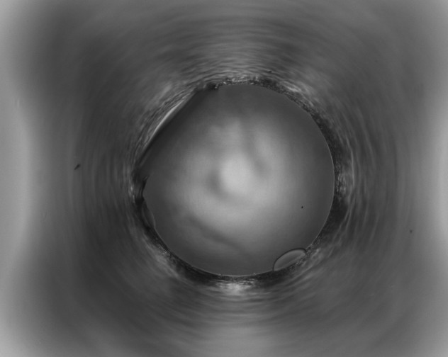 X0000087350662200704271420
