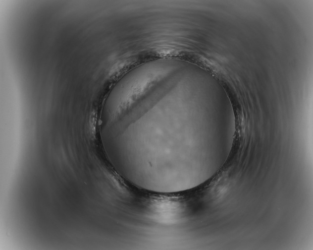 X0000087350664200704271420
