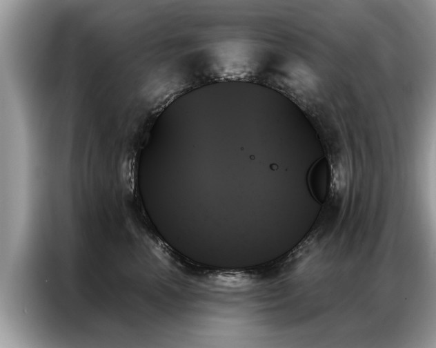 X0000087350666200704271420