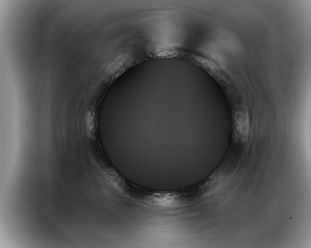 X0000087350667200704271420