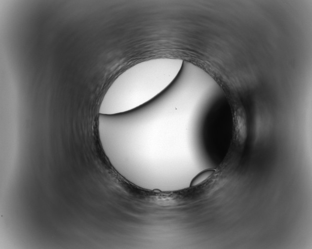 X0000087350668200704271420