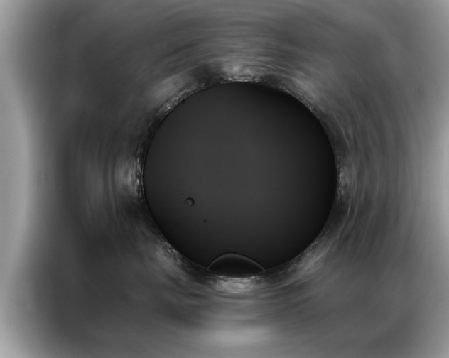 X0000087350671200704271420