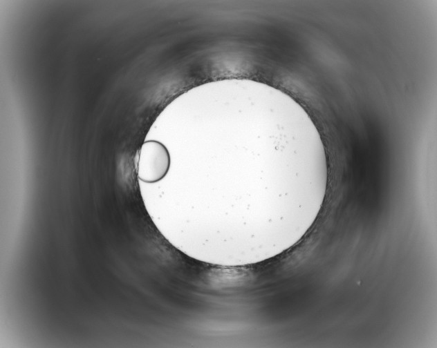 X0000087350672200704271420