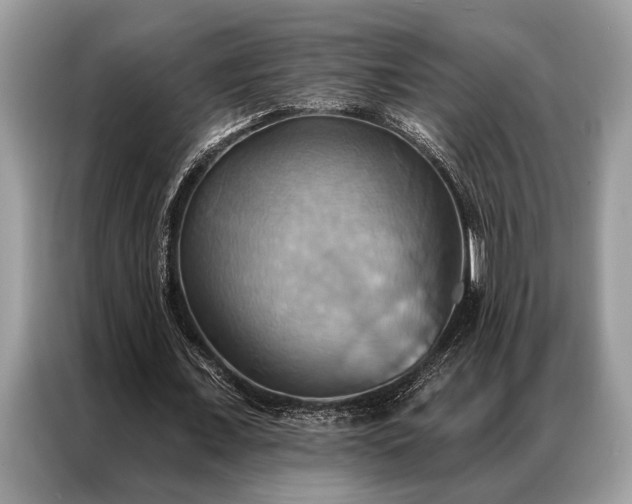 X0000087350675200704271420