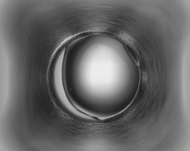 X0000087350676200704271420