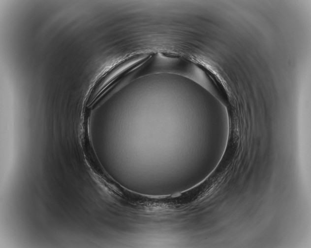 X0000087350677200704271420