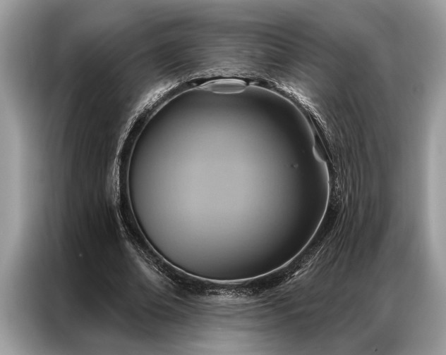 X0000087350678200704271420