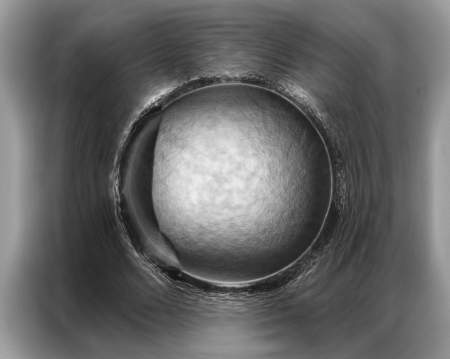X0000087350680200704271420