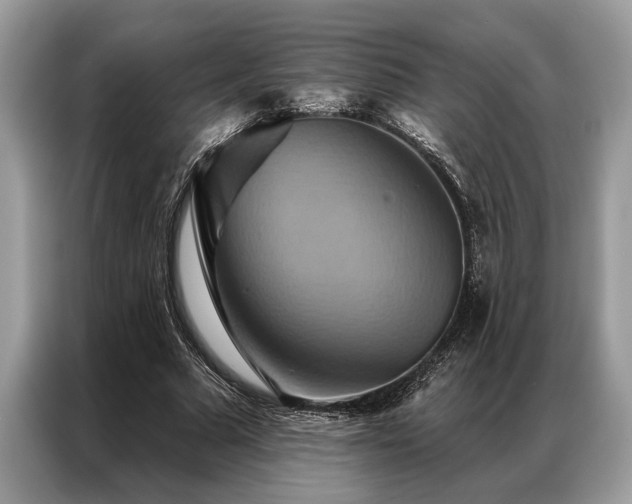 X0000087350681200704271420