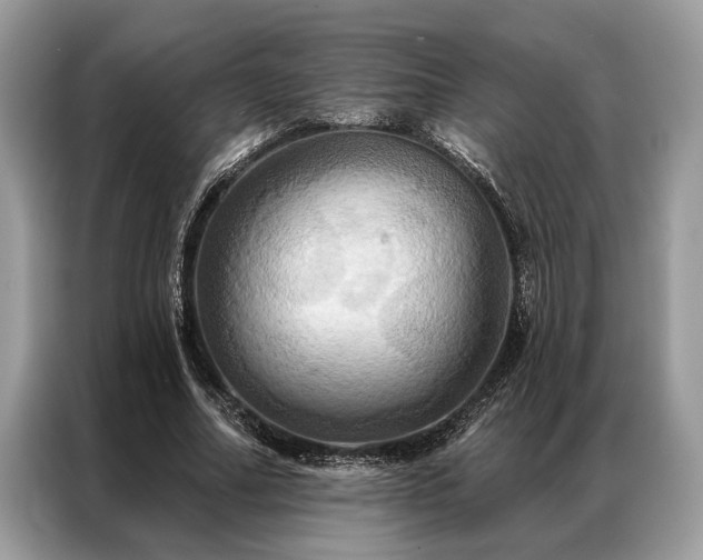X0000087350682200704271420