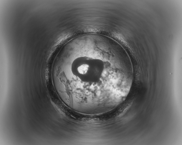 X0000087350683200704271420