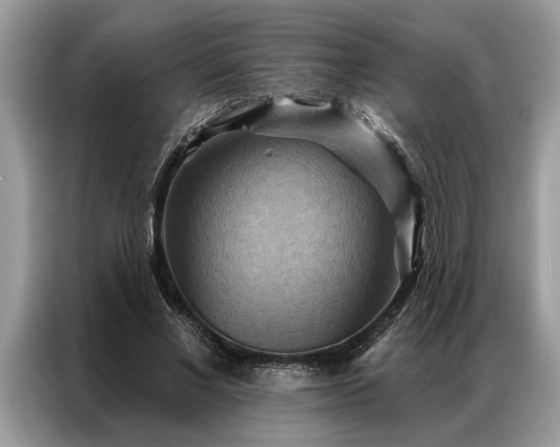 X0000087350685200704271420