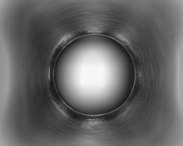 X0000087350686200704271420