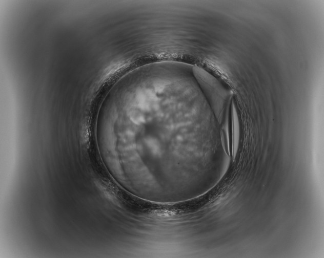 X0000087350687200704271420