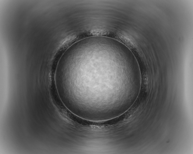 X0000087350690200704271420
