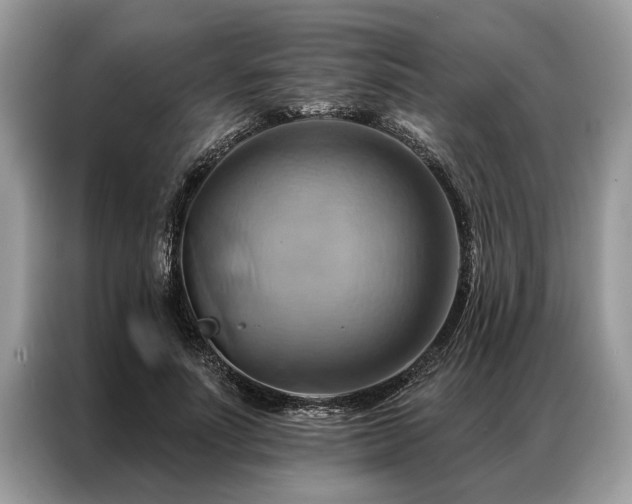 X0000087350691200704271420