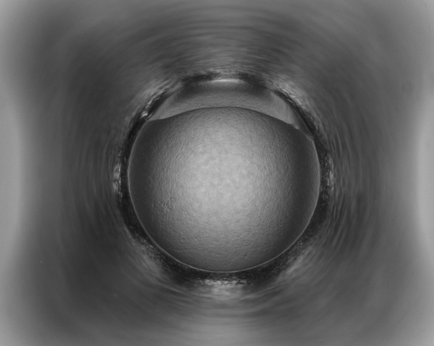 X0000087350693200704271419