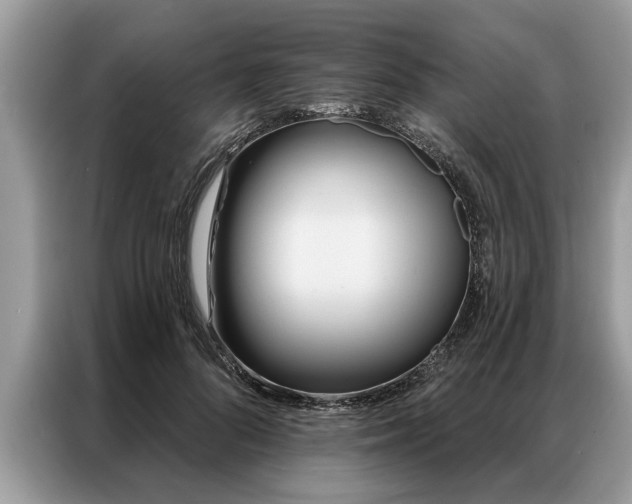 X0000087350696200704271419