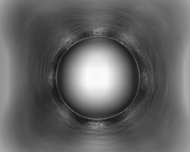 X0000087350698200704271419