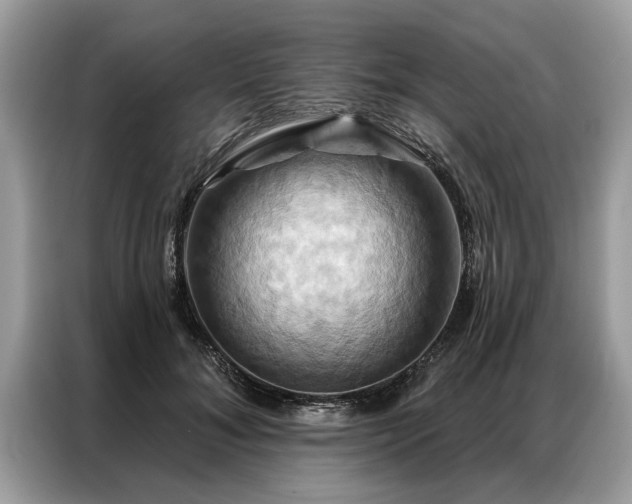X0000087350700200704271419