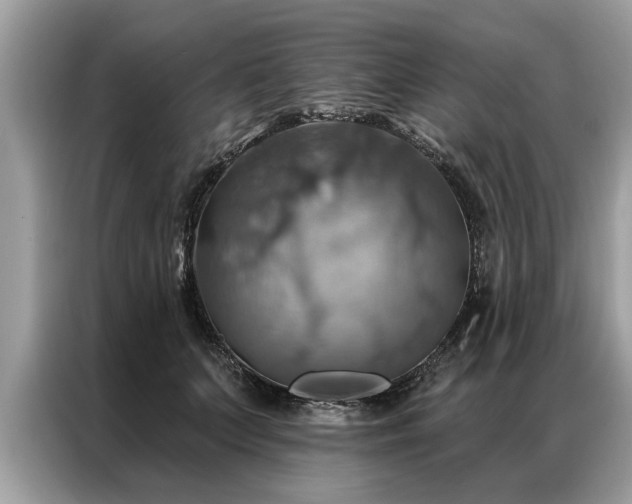 X0000087350703200704271419