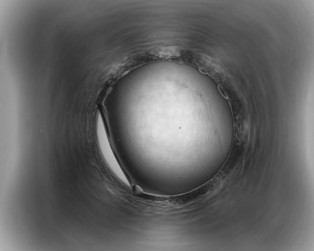 X0000087350704200704271419