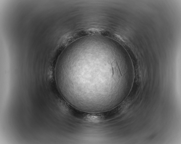 X0000087350706200704271419
