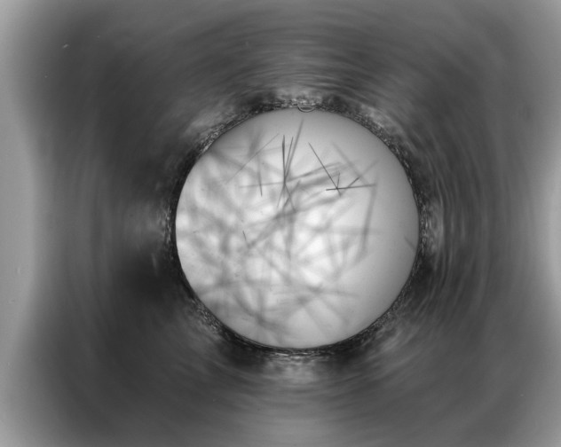 X0000087350713200704271419