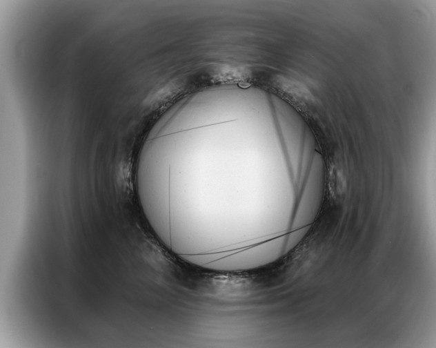 X0000087350714200704271419