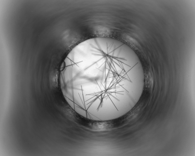 X0000087350717200704271419