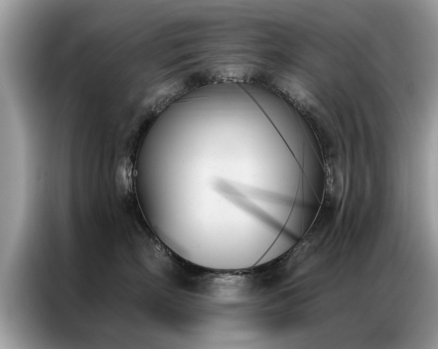 X0000087350718200704271419