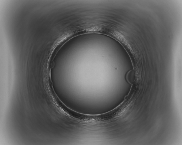 X0000087350721200704271419