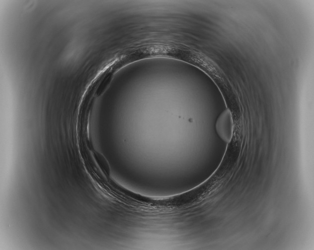 X0000087350722200704271419