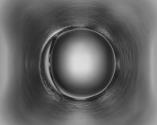 X0000087350724200704271419