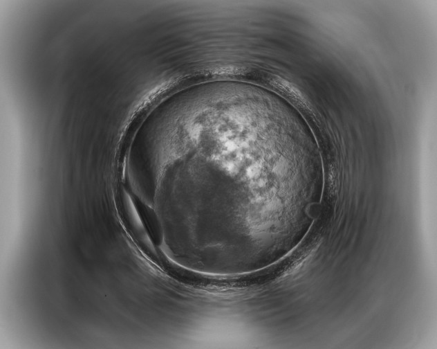 X0000087350725200704271419