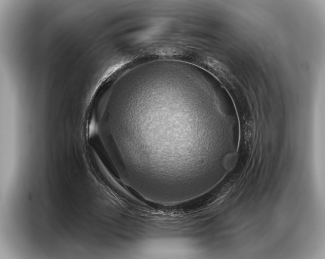 X0000087350727200704271419