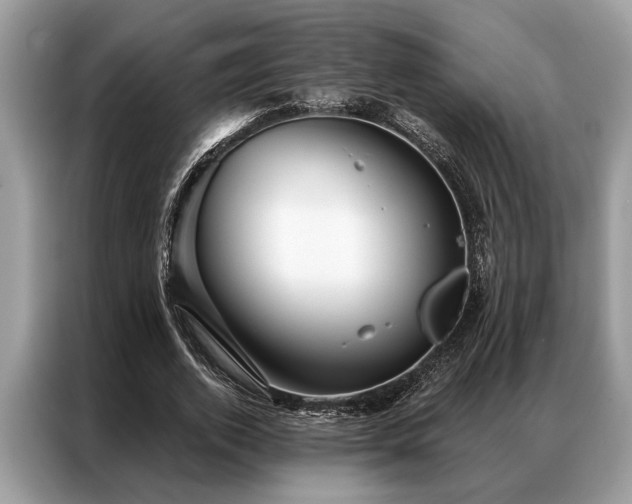 X0000087350728200704271419