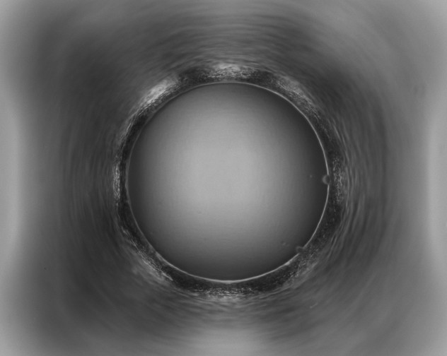 X0000087350729200704271419