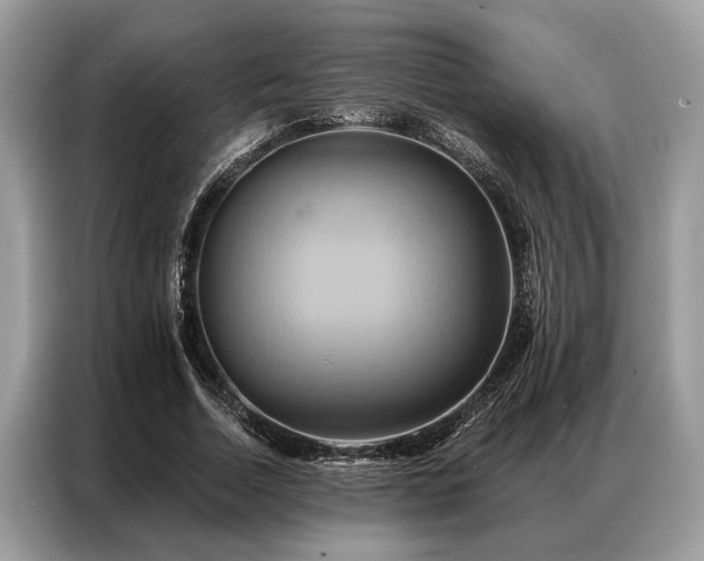 X0000087350730200704271419