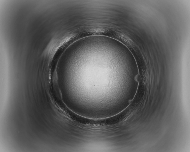 X0000087350731200704271419